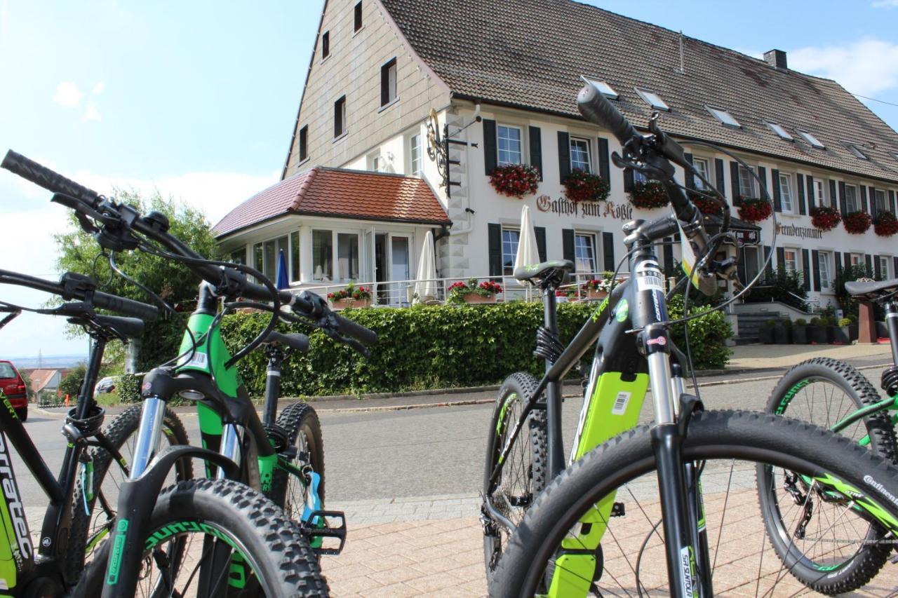 Hotel Roessle Furstenberg  エクステリア 写真