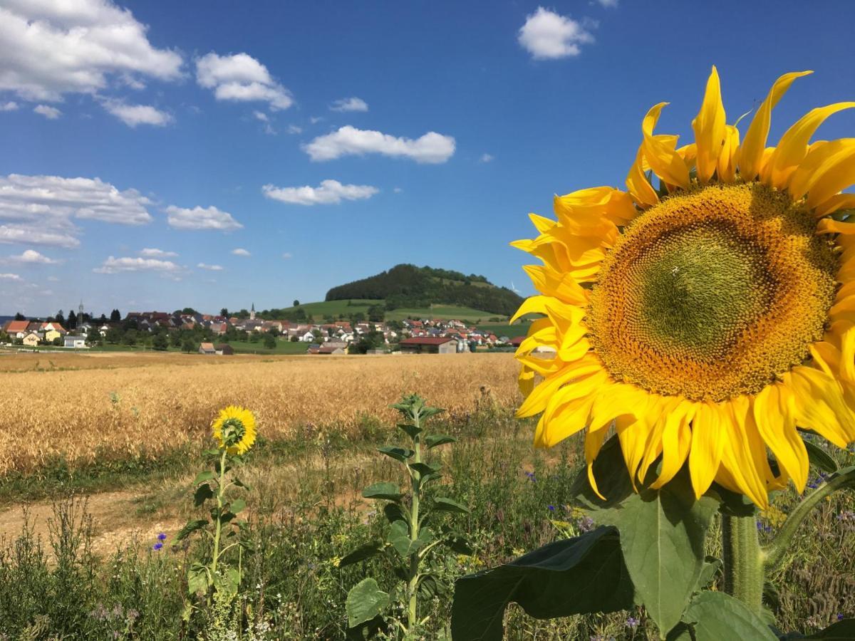 Hotel Roessle Furstenberg  エクステリア 写真