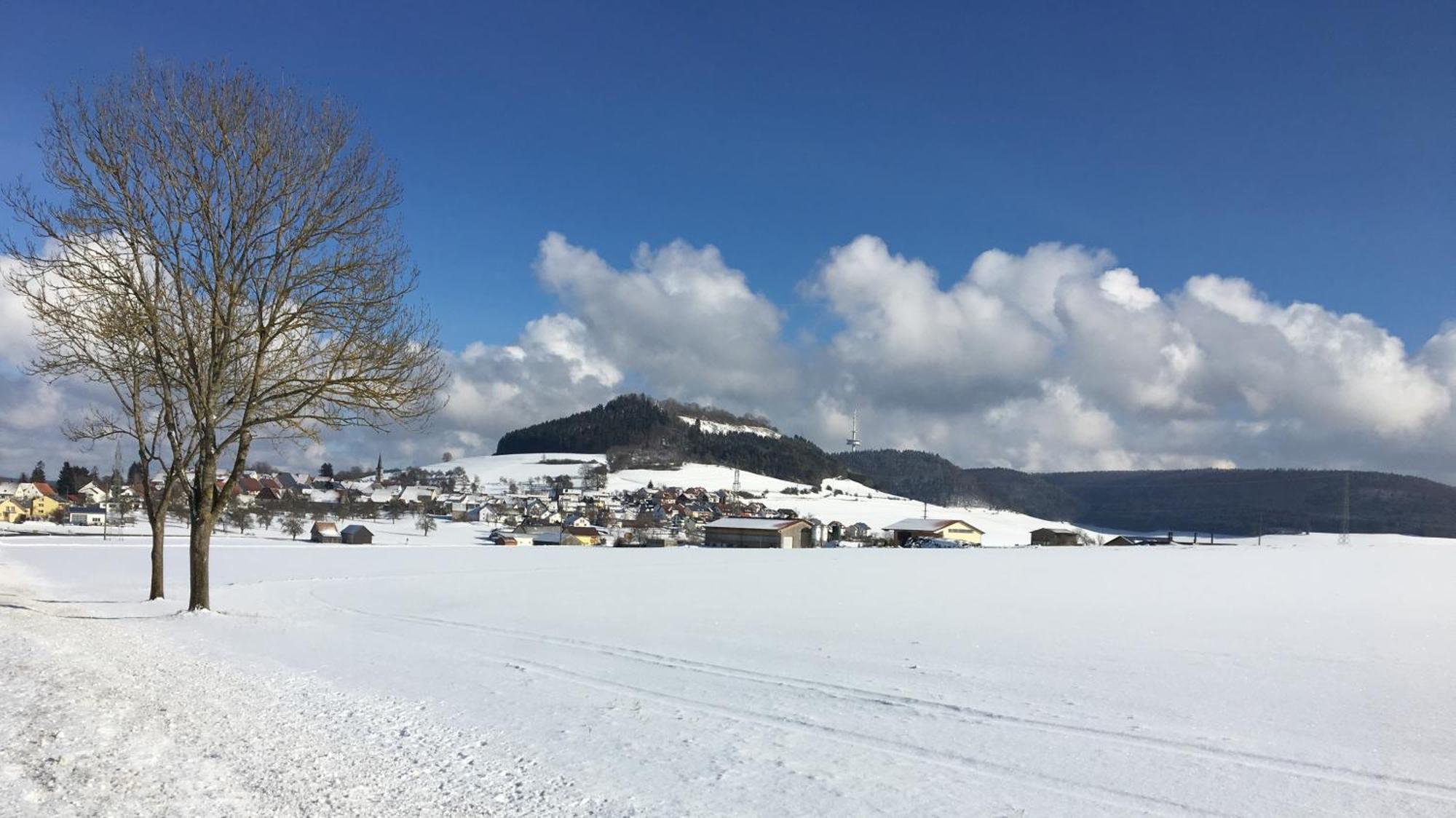 Hotel Roessle Furstenberg  エクステリア 写真